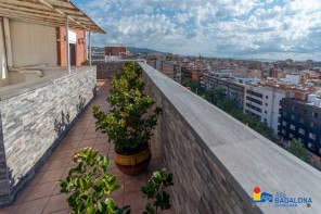 Vistas